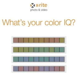 Color IQ Test